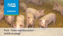 AHDB strategy Town Hall discussion – Pork sector